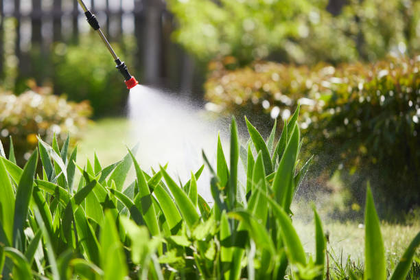 24/7 Emergency Cockroach Control experts in South Gate, CA